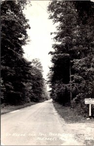 RPPC Up Where the Tall Trees Grow, Newberry MI c1948 Vintage Postcard Q49