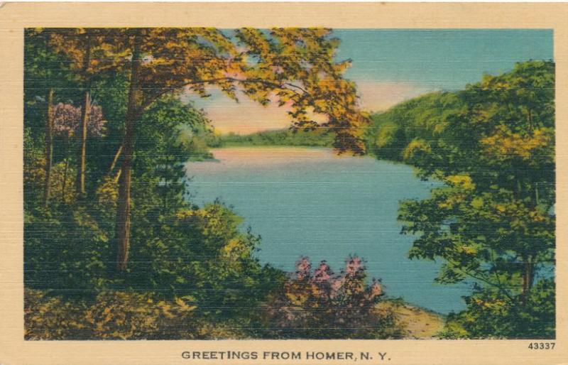 Greetings from Homer NY, New York - Unidentified River - pm 1945 - Linen