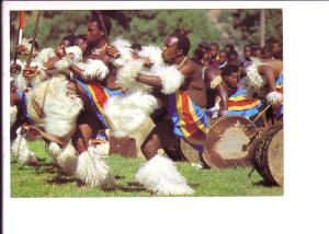 Tribal Life, Black Swazi Men Dancing, South Africa