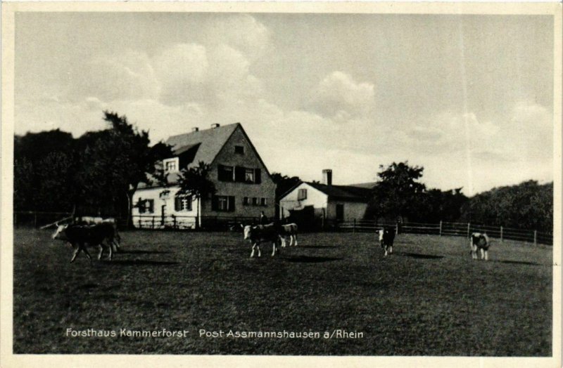 CPA AK Post Assmannshausen - Forsthaus Kammerforst GERMANY (859960)
