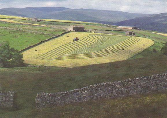 England Yorkshire Cutting Hay Wharfedale