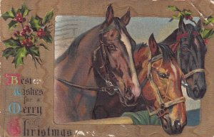 CHRISTMAS, PU-1908; Best Wishes, Portrait of Three Horses, Holly