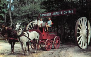 Romantic Jungle Drive Suwannee River Florida Tally-Ho c1950s Vintage Postcard