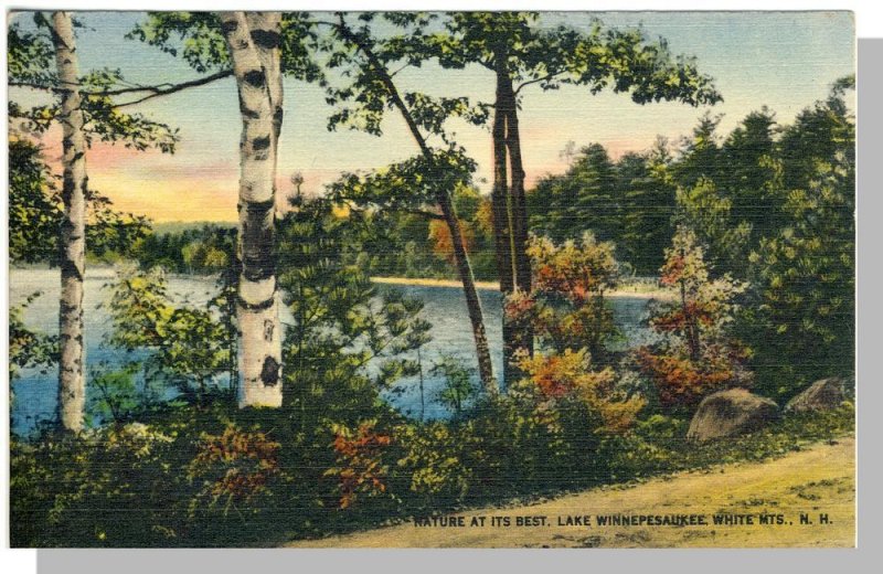 White Mountains,Lake Winnipesaukee Postcard,New Hampshire/NH