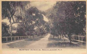 Burton Avenue Rockledge Florida 1905c Albertype postcard