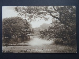 Surrey Hindhead WAGGONERS WELLS - Old Postcard by W. Rollason / Frith 43425