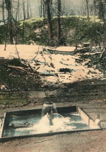 c. 1910 Dr. Reynold's Well Spring Greenspring, OH Hand Colored Postcard P16 