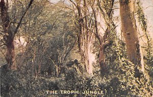 The Tropic Jungle Africa, Afrika Unused 
