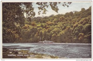 Sharpham Woods, River Dart, Devon, England, United Kingdom, PU-1937