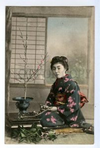 497172 Japan geisha girl in kimono plant small trees Vintage tinted postcard