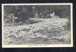 LOST CABIN WYOMING SHEEP RANCH FARMING VINTAGE POSTCARD