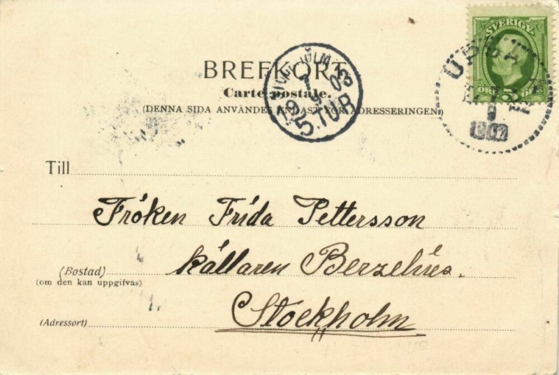 sweden, UPSALA, Parti från Fyrisån (1903) Postcard