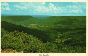 Vintage Postcard The Saddle Alleghany Front U. S. 50 Beautiful Gap West Virginia