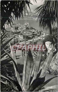 Modern Postcard Monte Carlo and the casino saw the exotic garden