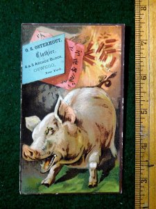1870s-80s Oddball Pig Chinese Fireworks Tied To Tail, O S Osterhout Clothier F28