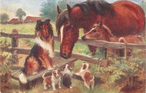 Norah Drummond. Horses and Dogs Tuck Oiette Chums Ser. PC # 8646