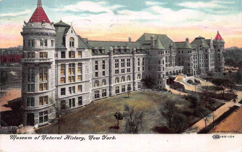 Museum of Natural History, New York City, Early Postcard, used in 1908