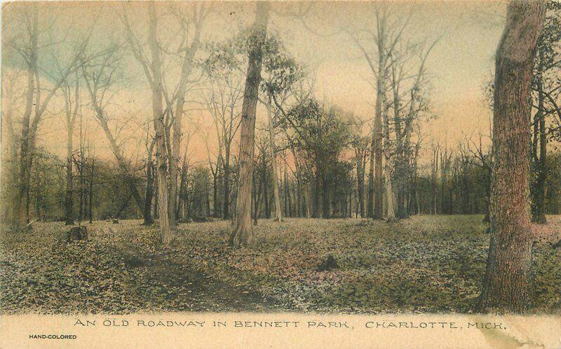 Bennett Park Charlotte Michigan Old Railway C-1910 Postcard hand colored 1328