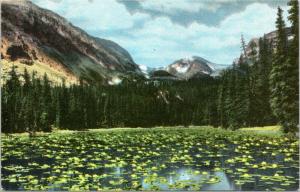 Chickadee Lake, Wild Basin Rocky Mountain National Park Colorado