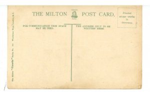 Cattle - Noon Day Rest  (cracks, creases, chips)