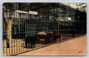 Bear Den  Forest Park   St. Louis   Missouri    Postcard