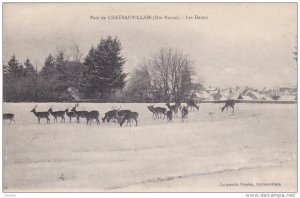 CHATEAUVILLAIN, Haute Marne, France, 1900-1910's; Les Daims