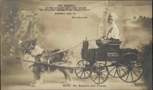 Birdsell Mfg Co Wagon Pulled by Collie Dog South Bend IN c1905 ADV RPPC