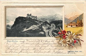 RIGI KULM  SWITZERLAND 1901 HEAVILY EMBOSSED FLOWER POSTCARD