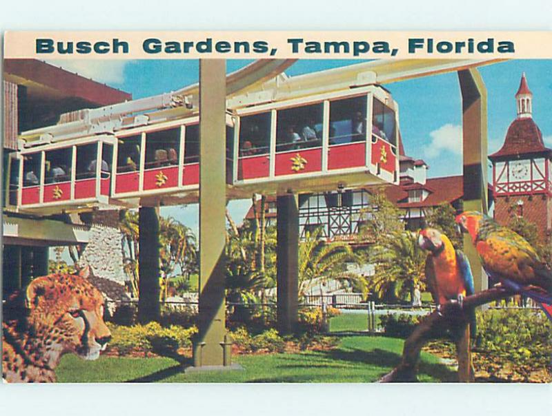 Pre-1980 BUSCH GARDENS Tampa Florida FL AF9722@