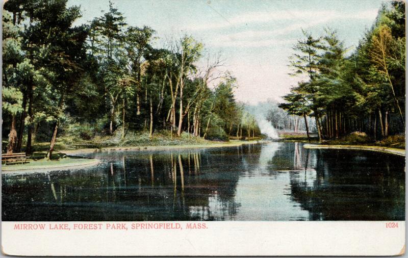 Mirror Lake Forest Park Springfield MA Mass Unused Postcard D74 