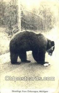 Greetings Ontonagon Michigan Bear Postcard Bear Post Card Old Vintage Antique...