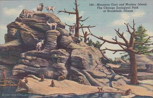 Mountain Goat and Monkey Island Chicago Zoological Park At Brookfield Illinoi...