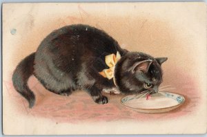 c1910s Embossed Cute Black Cat Drinking Milk Kitten Eating Water Postcard A190
