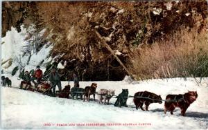 YUKON  DOG TEAM  Freighting  in  ALASKA   c1910s Mitchell  #1990   Postcard