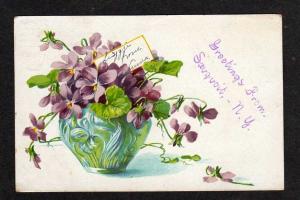 NY Greetings SAUQUOIT NEW YORK Postcard 1907 PC Violets
