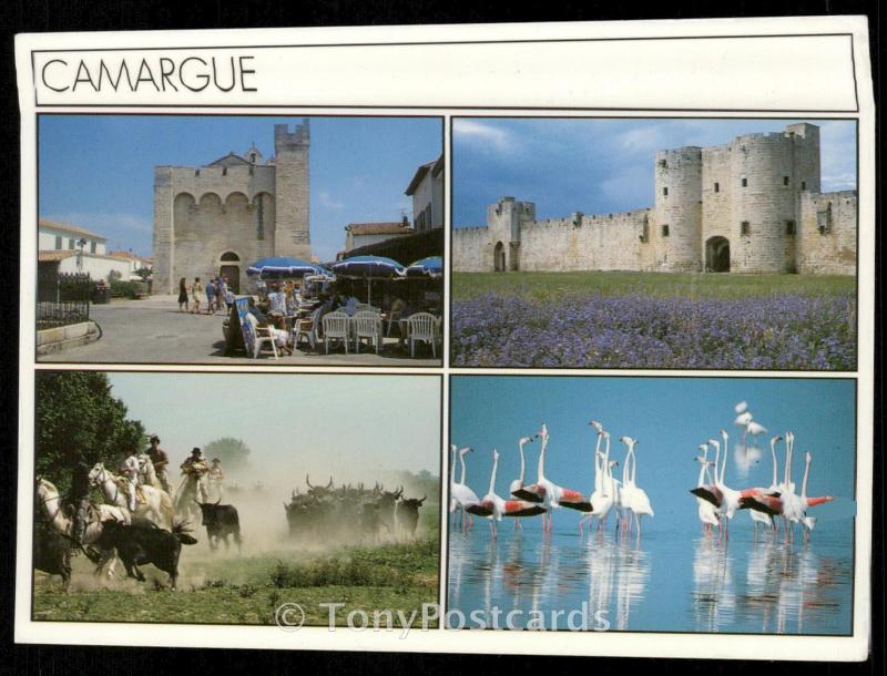 CAMARGUE