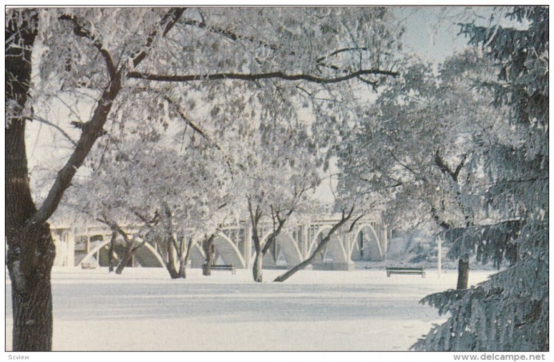 Winter view , SASKATOON , Saskatchewan , Canada , 1950-60s