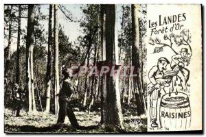 Old Postcard The Resinier Landes or Labor Foret gold