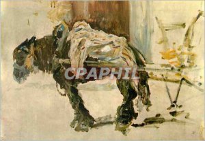 Modern Postcard Albi (Tarn) Toulouse Lautrec Draft Horse has Celeyran (18841)...