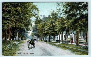 DE LAND, Florida FL ~ Street Scene NEW YORK AVENUE North 1908 Postcard