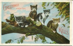 1922 Cats Greetings from the CATSKILLS NY 