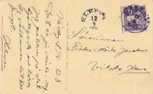 Kinnekulle Utsiktstornet Sweden Observation Tower Postcard c.1910s