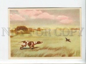 3092579 POINTER on Hunt by KURDOV Old Russian color PC