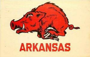 AR, Arkansas, WOO-O-O Pig Sooey, Lets Go Hogs, Curteichcolor