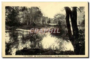 Old Postcard Foret De Fontainebleau La Mare Aux Fees