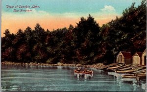 Waterfront View of Canobie Lake NH Canoes, Docks Vintage Postcard S64