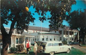 Autos LAKE WALES FLORIDA 1950s Lake Shore Plantation Inn Roadside 2844