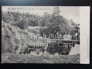 CANADA: St. John, N.B. Pool by the Bear Den, Rockwood Park, Old Postcard