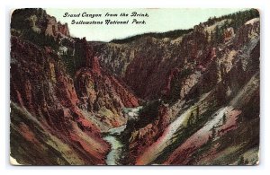 Grand Canyon From The Brink Yellowstone National Park Postcard