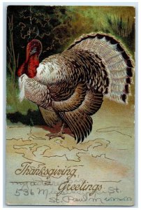 1909 Thanksgiving Greetings Turkey Embossed Somerset St. Paul Minnesota Postcard